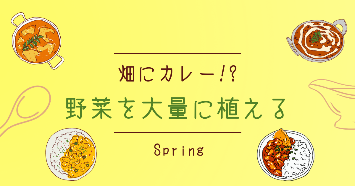 【畑にカレー！？】春植え野菜を大量に植えたお話【おさ】 -リアル多拠点日記