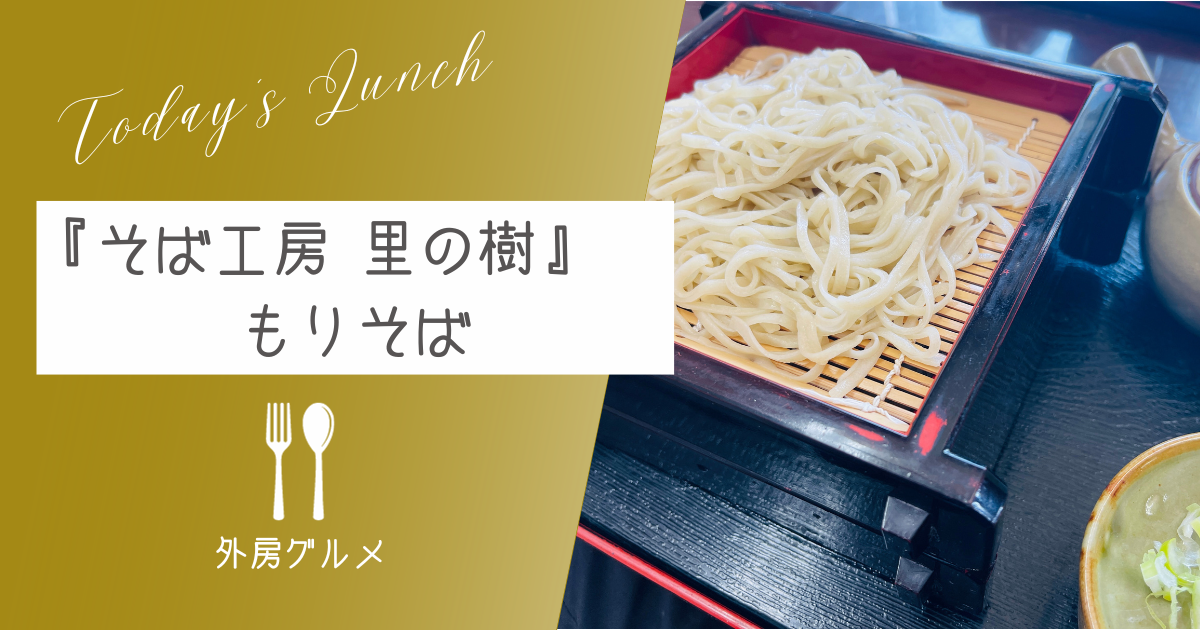 【ツルっと平打ち麺】『そば工房 里の樹』冷やしたぬきそば【ソトボンヌ】 -リアル多拠点日記