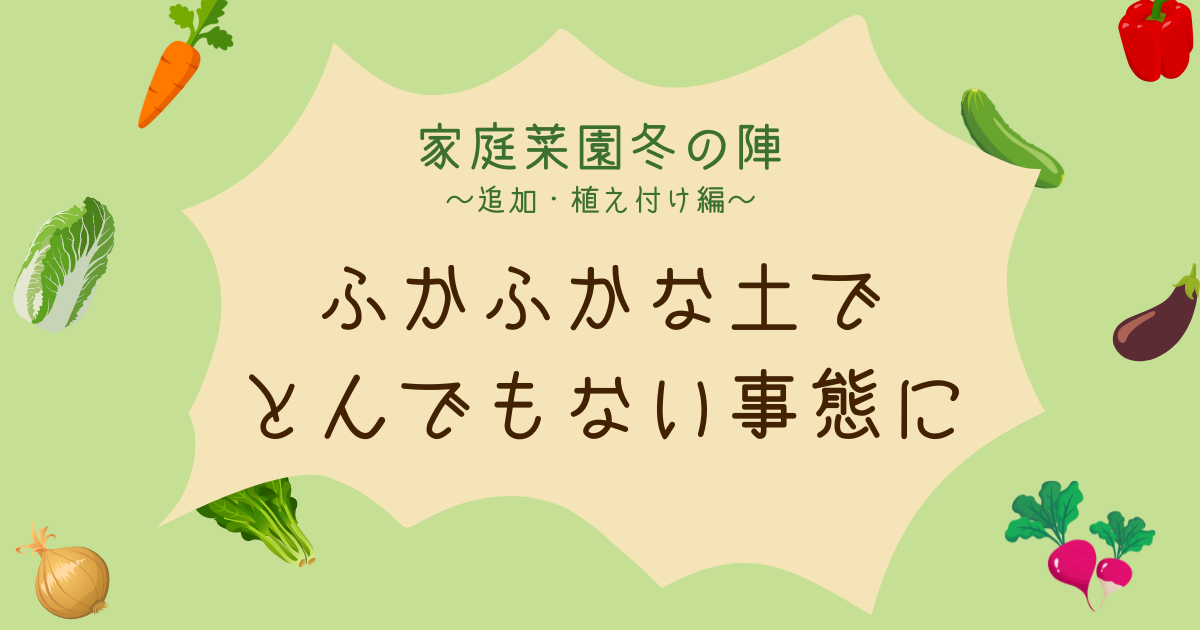 ふかふかな土を作るもとんでもない事態に・・・｜家庭菜園冬の陣～追加・植え付け編～　-リアル多拠点日記