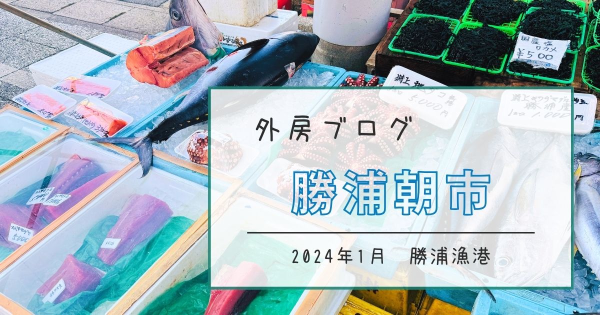 【400年の歴史】ほぼ毎日開催の勝浦朝市は、食べ歩き旅にもおすすめ【おさ】-リアル多拠点日記