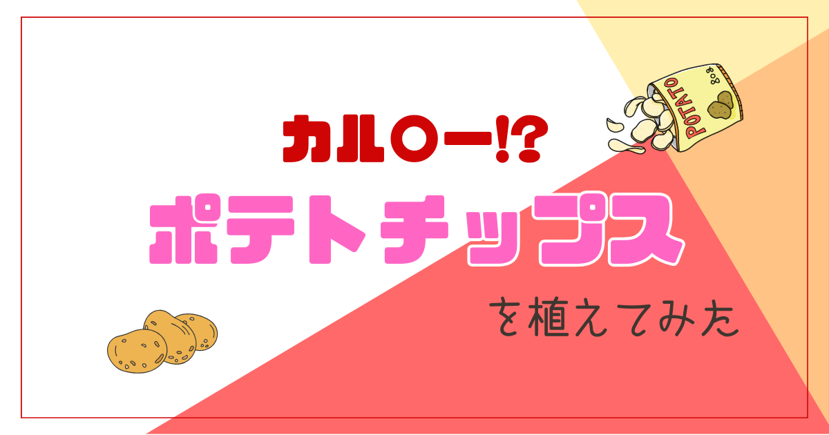 【カル〇ー】ポテトチップスの土を大量に買ってみたお話【おさ】 -リアル多拠点日記