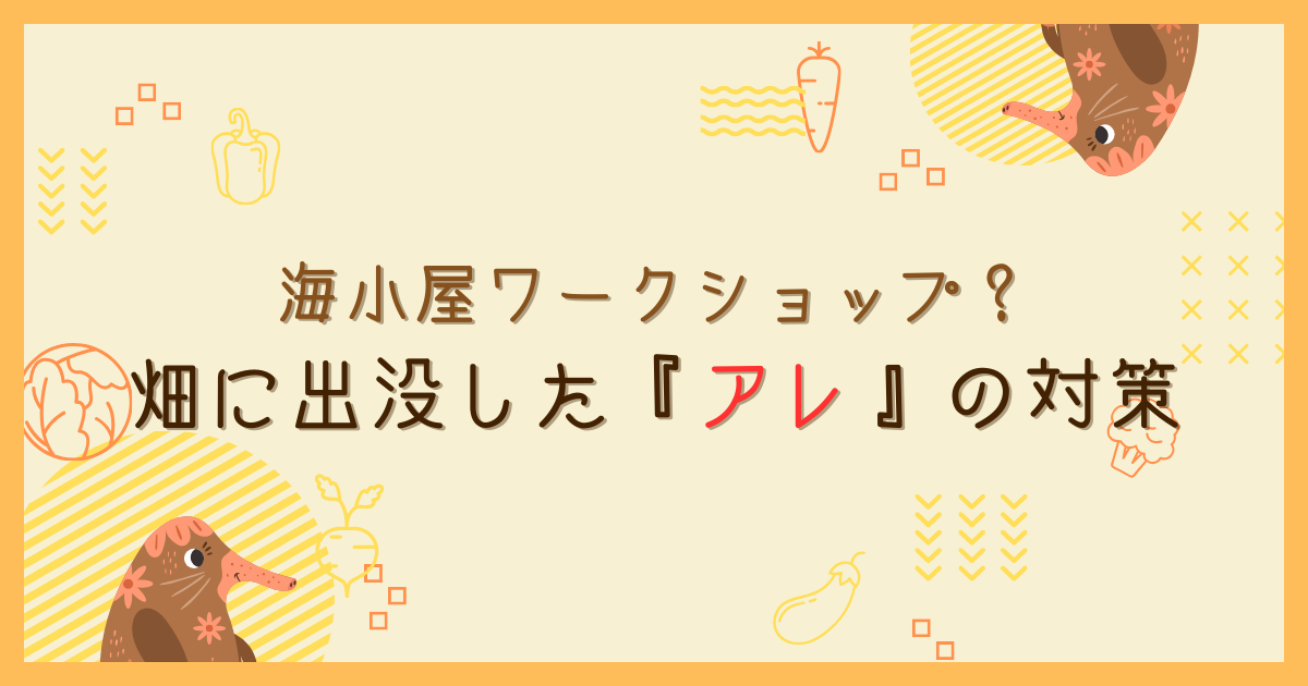 海小屋ワークショップ開催？畑に出没した『アレ』の対策【おさ】　-リアル多拠点日記