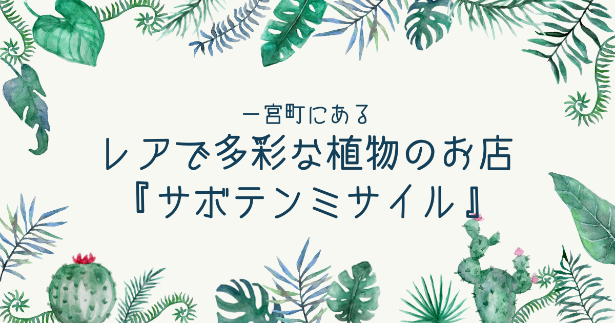 レアで多彩な植物がいっぱい！一宮町『サボテンミサイル』は通いたくなる素敵空間でした