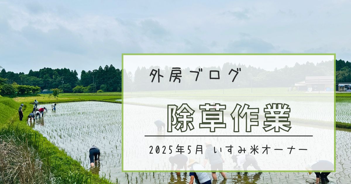 【いすみ米オーナー制度】田んぼの除草作業にいってきました【ソトボンヌ】 -リアル多拠点日記