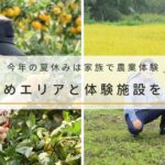 今年の夏休みは家族で農業体験！おすすめエリアと体験施設を紹介｜移住・二拠点生活検討にも最適