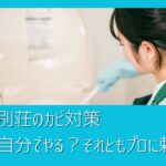 別荘のカビ、放置は危険！別荘のカビ対策、自分でやる？それともプロに頼むべき？