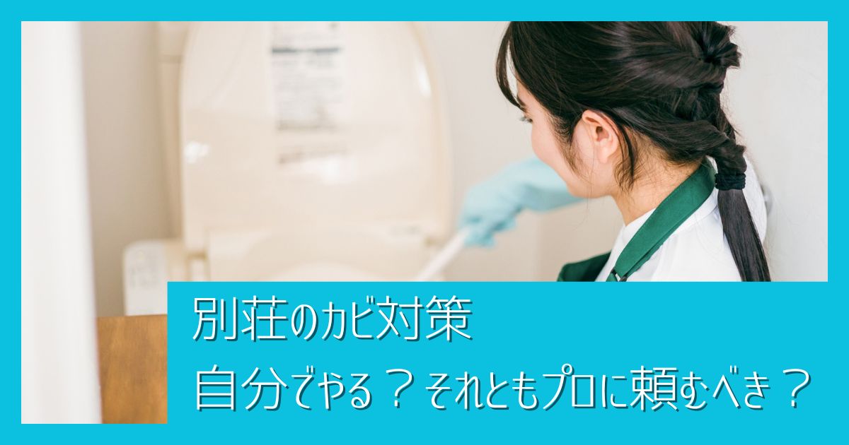 別荘のカビ、放置は危険！別荘のカビ対策、自分でやる？それともプロに頼むべき？