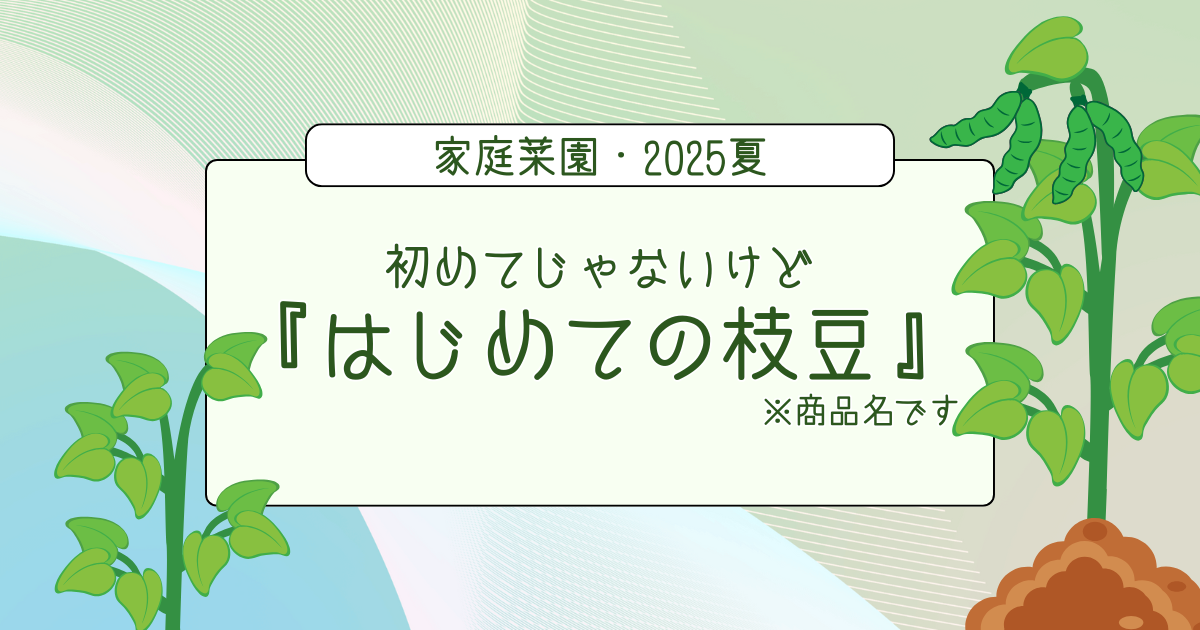 『はじめての枝豆』で再挑戦！今年こそは枝豆にありつけるのか！？｜家庭菜園・2025夏 -リアル多拠点日記