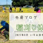 【いすみ米オーナー制度】早場米・稲刈り体験にいってきました【ソトボンヌ】 -リアル多拠点日記