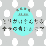 青いたまご！？君津『とりかいさんちのたまご』で幸せの青いたまごを購入 -リアル多拠点日記