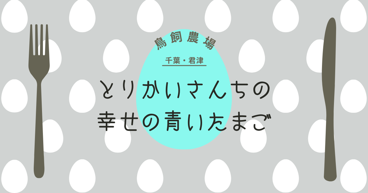 青いたまご！？君津『とりかいさんちのたまご』で幸せの青いたまごを購入 -リアル多拠点日記