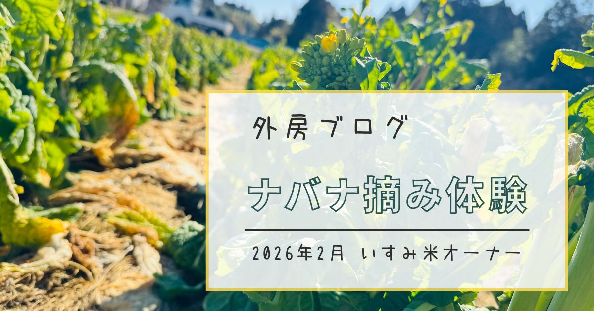 【いすみ米オーナー制度】イベント最後・ナバナ摘み体験にいってきました【ソトボンヌ】 -リアル多拠点日記
