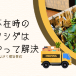 長期不在時のビカクシダはこうやって解決｜多拠点生活をしながら植物育成はできる？ -リアル多拠点日記