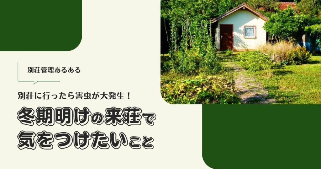 別荘に行ったら害虫が大発生！冬期明けの来荘で気をつけたいこと【おさ】 -リアル多拠点日記