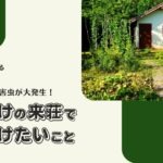 別荘に行ったら害虫が大発生！冬期明けの来荘で気をつけたいこと【おさ】 -リアル多拠点日記