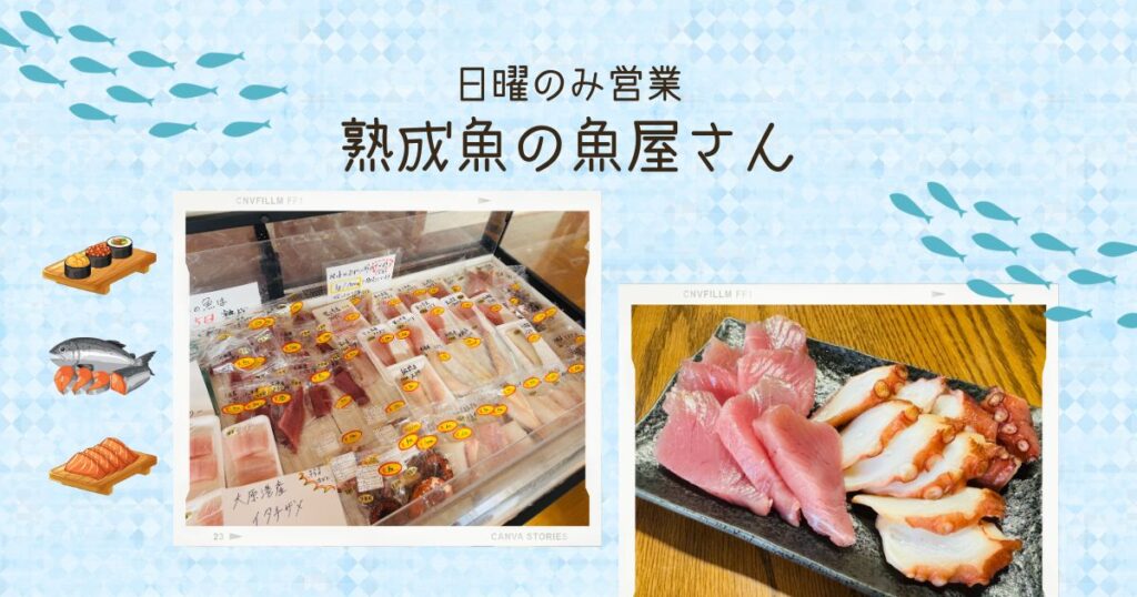 【日曜のみ営業】熟成魚を扱う『魚屋』の絶品！熟成刺身に舌鼓【おさ】 -リアル多拠点日記