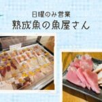 【日曜のみ営業】熟成魚を扱う『魚屋』の絶品！熟成刺身に舌鼓【おさ】 -リアル多拠点日記