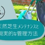 憧れの芝生、週末利用でも大丈夫？別荘の天然芝生メンテナンスと現実的な管理方法