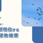 可愛くても要注意！春先に活性化する野鳥や動物の建物被害【別荘管理あるある】 -リアル多拠点日記