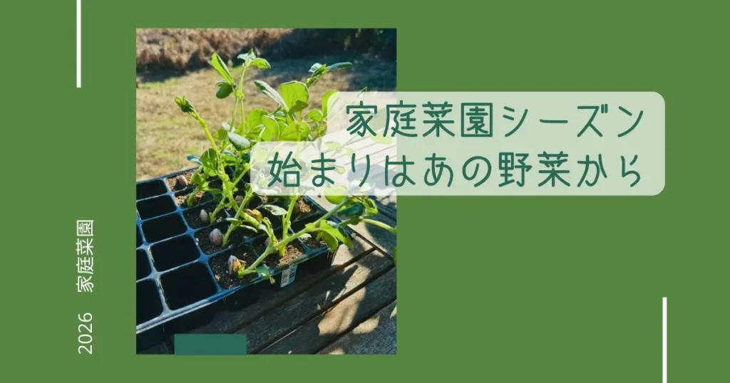 家庭菜園シーズンの始まりはやっぱりあの野菜から｜家庭菜園・2026 -リアル多拠点日記