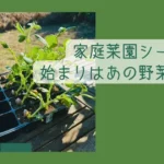 家庭菜園シーズンの始まりはやっぱりあの野菜から｜家庭菜園・2026 -リアル多拠点日記