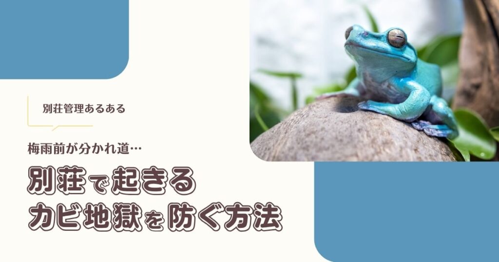 梅雨前が分かれ道…別荘で起きる『カビ地獄』を防ぐ方法【別荘管理あるある】 -リアル多拠点日記