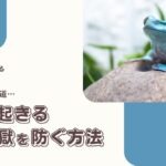梅雨前が分かれ道…別荘で起きる『カビ地獄』を防ぐ方法【別荘管理あるある】 -リアル多拠点日記