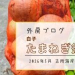 【絶対に食べたい】真っ白で瑞々しい！この時期限定の美味さ『白子たまねぎ祭り』【おさ】 -リアル多拠点日記
