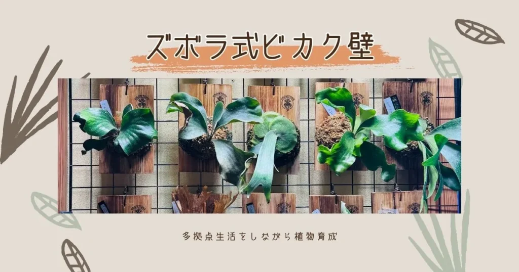 水やりを簡単に『ズボラ式ビカク壁』を作る｜多拠点生活をしながら植物育成はできる？ -リアル多拠点日記