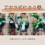 水やりを簡単に『ズボラ式ビカク壁』を作る｜多拠点生活をしながら植物育成はできる？ -リアル多拠点日記