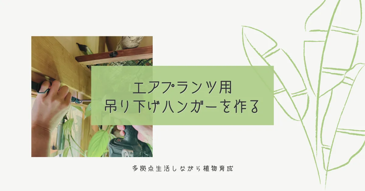 エアプランツの吊り下げハンガーを作る|多拠点生活しながら植物育成