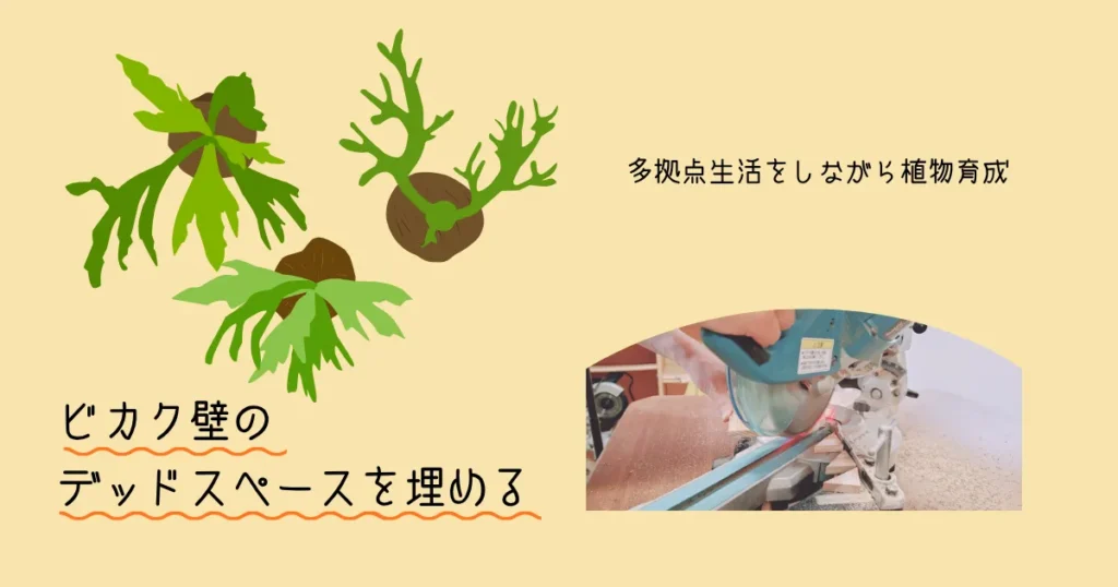 『ビカク壁』のデッドスペースを埋める｜多拠点生活をしながら植物育成はできる？ -リアル多拠点日記
