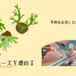 『ビカク壁』デッドスペースを埋める｜多拠点生活しながら植物育成
