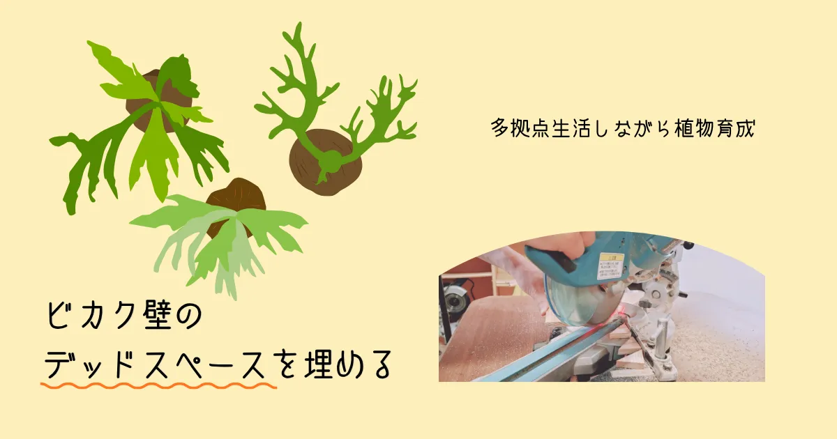 『ビカク壁』デッドスペースを埋める|多拠点生活しながら植物育成