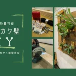 どこでも設置可能な『即席ビカク壁』をDIY｜多拠点生活をしながら植物育成はできる？ -リアル多拠点日記