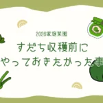 すだち収穫2年目、収穫前にやっておきたかった事｜家庭菜園・2026