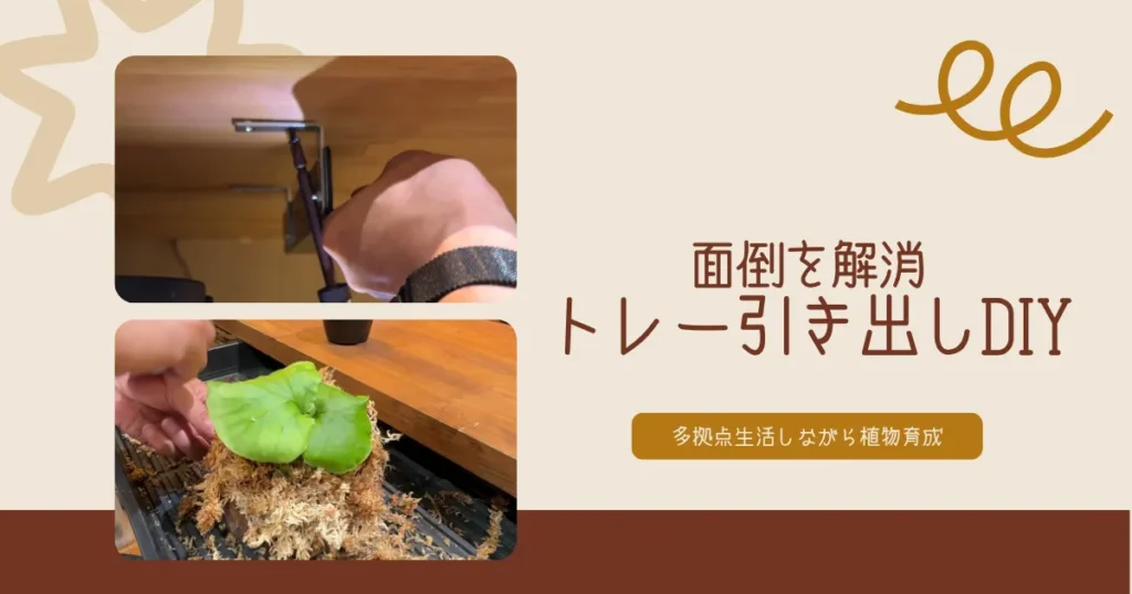 『トレー引き出し』DIYで面倒を解消｜多拠点生活しながら植物育成