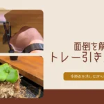 『トレー引き出し』DIYで面倒を解消｜多拠点生活しながら植物育成